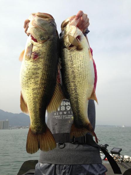 201303177rika2hon.jpg