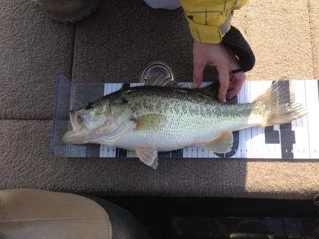 2013041301.jpg