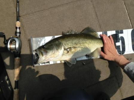 2013051803.jpg