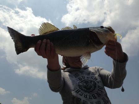 2013051805.jpg