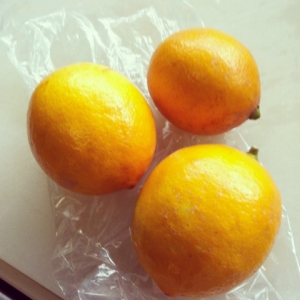 20140210062954030.jpg