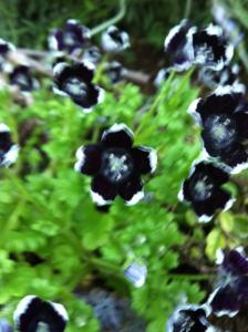 image_20130403201517.jpg