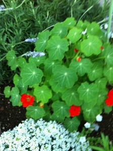 image_20130403201557.jpg