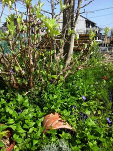 image_20130407205050.jpg