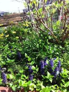 image_20130407205051.jpg
