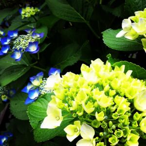 image_20130602200631.jpg