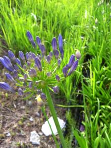 image_20130605222101.jpg