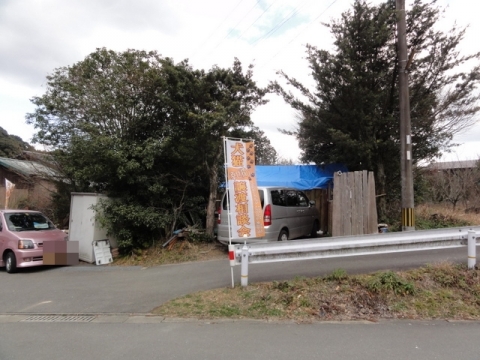 DSC07113.jpg
