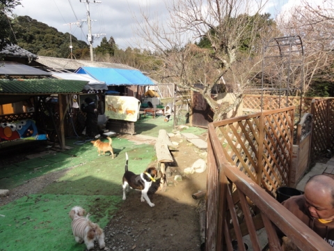 DSC07116.jpg