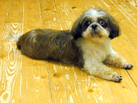 DSC07122.jpg