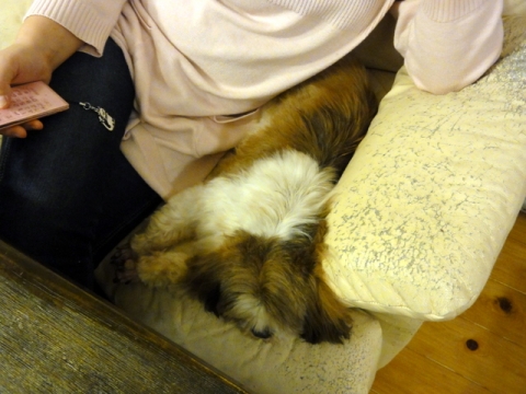 DSC07130.jpg