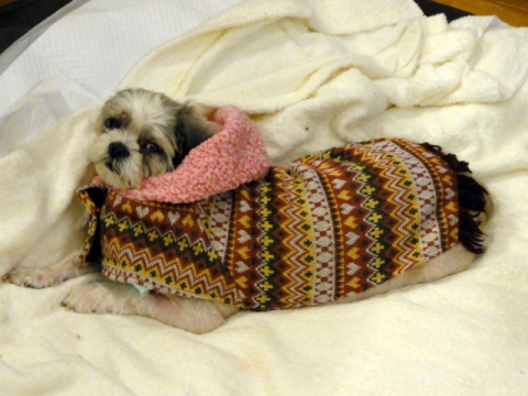 DSC07152.jpg