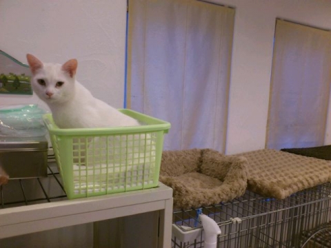 mini_140122_1726.jpg
