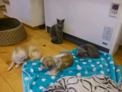 mini_140122_1727.jpg
