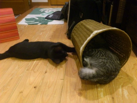 mini_140122_2313.jpg