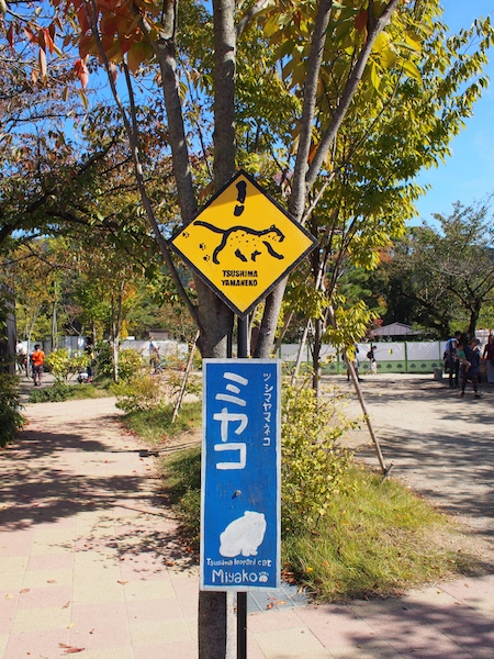 みやこが通るよ