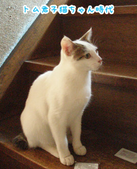 20120807_1.jpg