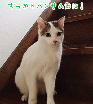 20120807_2.jpg