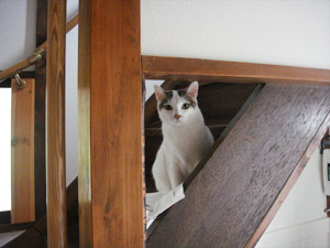 20120807_4.jpg