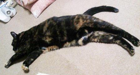 20120824.jpg
