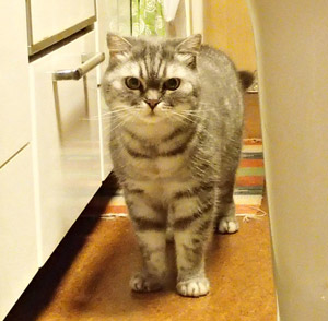 20121224_04.jpg