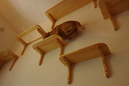 20130528_02.jpg
