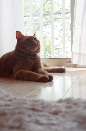 20130528_04.jpg