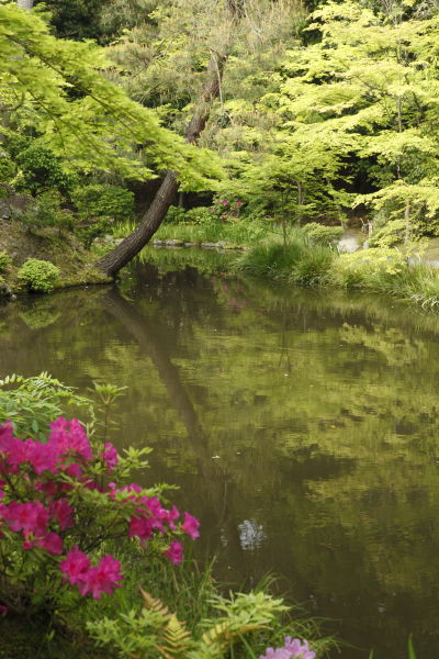 等持院