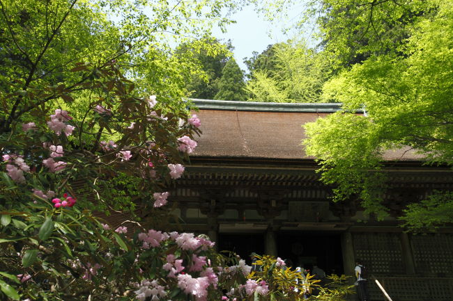 室生寺