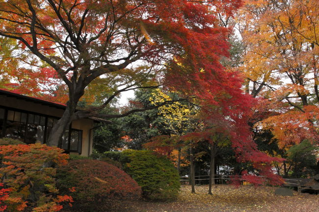 聴竹居
