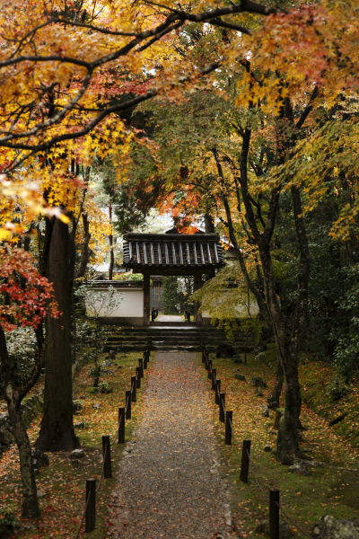 地蔵院