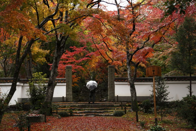 浄住寺
