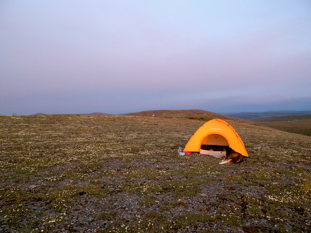 111212PierceEagleSummit.jpg
