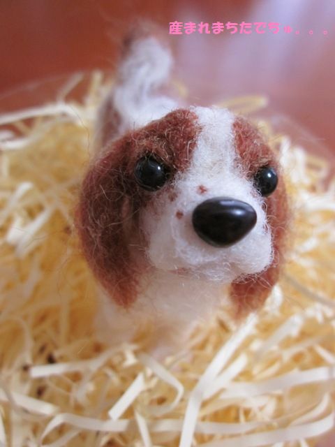 うまれたよ