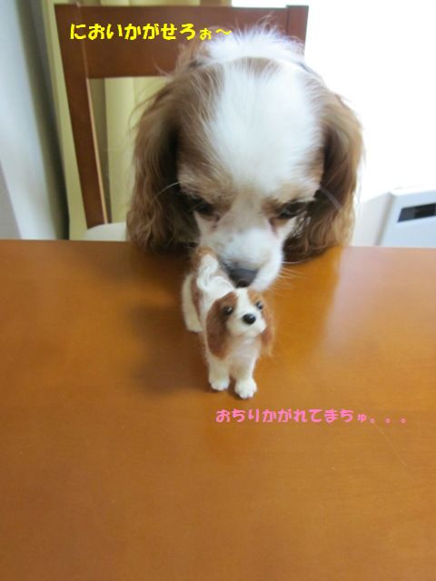おちり