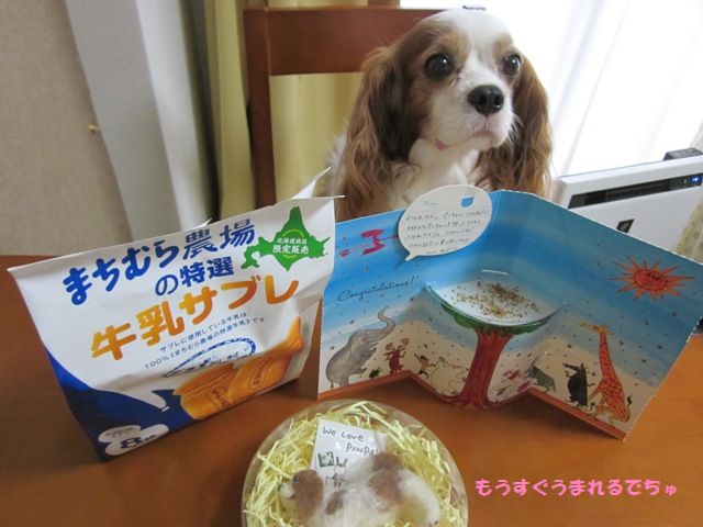 Iあかちゃん