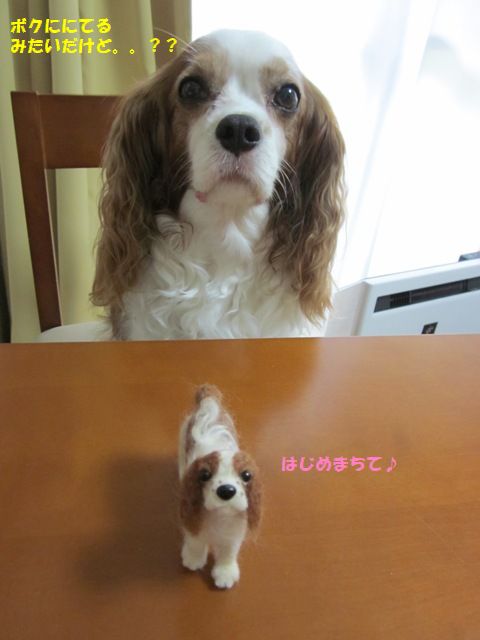 そっくり