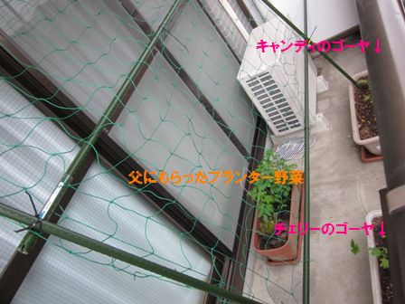 2012_0501_120443-IMG_1797.jpg