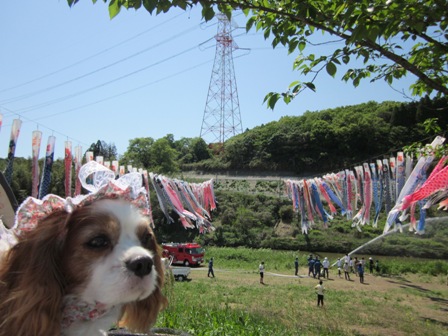 2012_0505_130445-IMG_1813.jpg