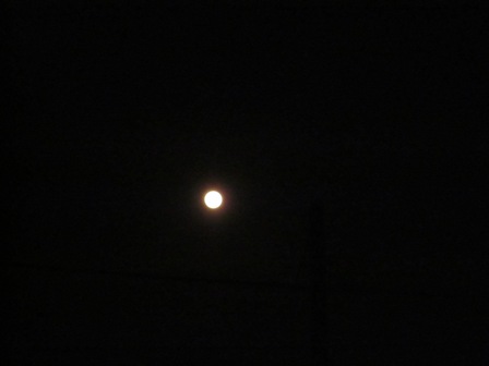 2012_0506_195622-IMG_1855.jpg