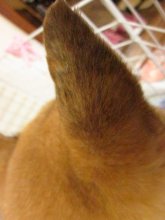 2012_0513_151826-IMG_1902.jpg