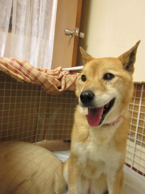 2012_0513_154848-IMG_1919.jpg