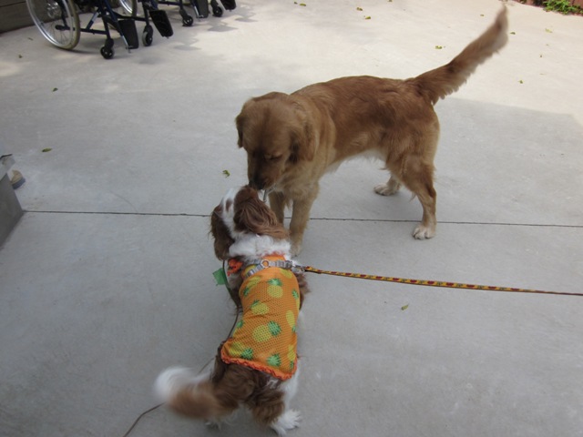 2012_0517_141448-IMG_1956.jpg