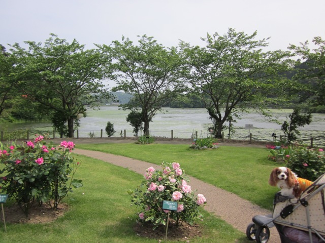2012_0517_141812-IMG_1957.jpg