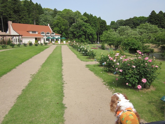 2012_0517_141839-IMG_1958.jpg