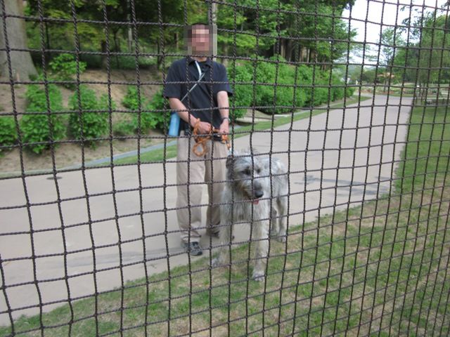 2012_0517_160314-IMG_1998.jpg