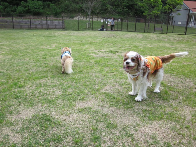 2012_0517_160348-IMG_1999.jpg