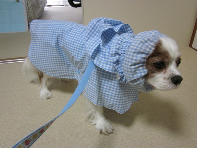 2012_0612_103516-IMG_2072.jpg