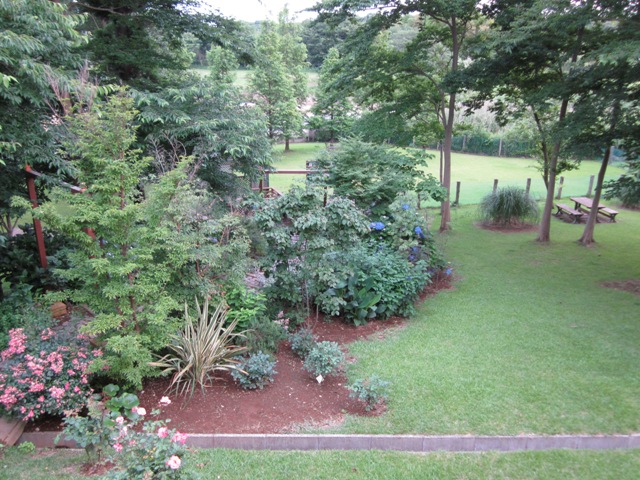 2012_0618_181728-IMG_2086.jpg