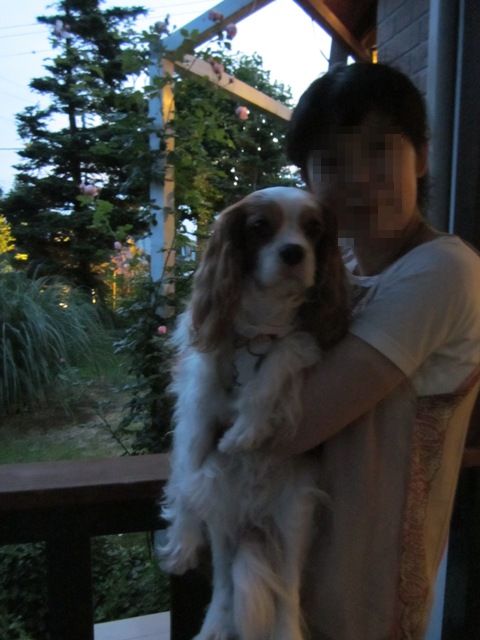 2012_0618_191225-IMG_2100.jpg